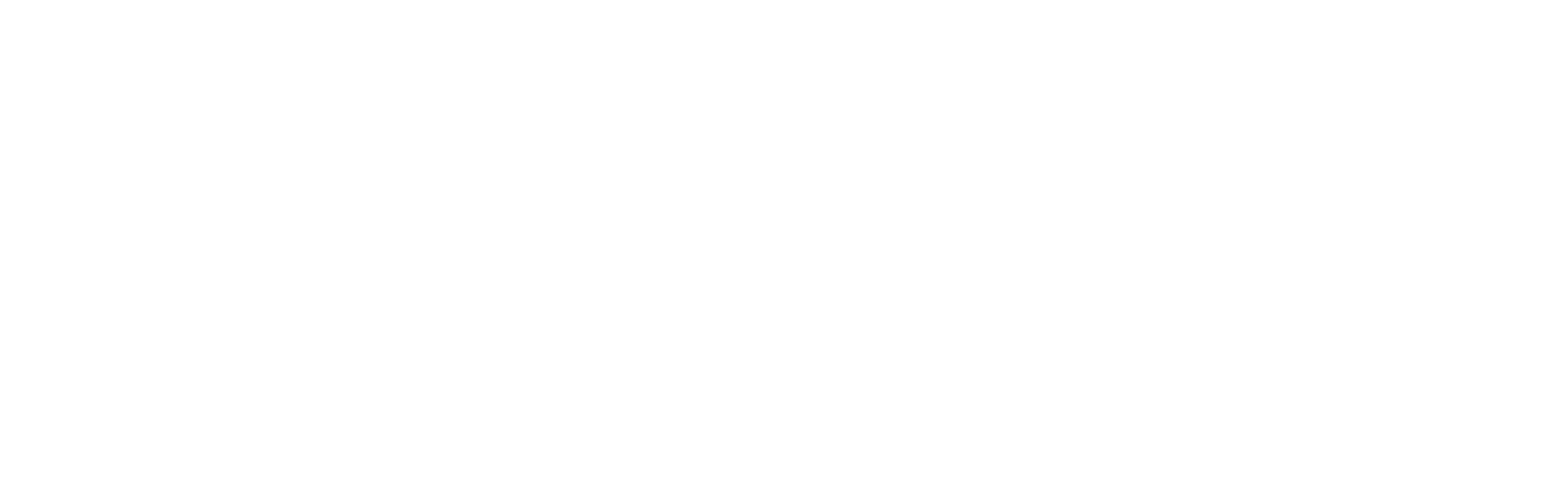 parkview logo